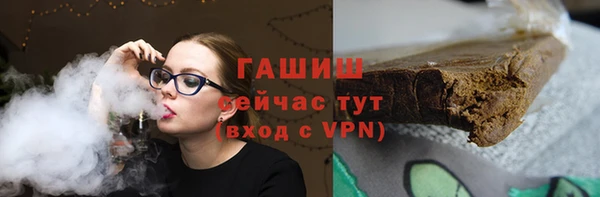 индика Алзамай