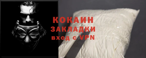 ГАЛЛЮЦИНОГЕННЫЕ ГРИБЫ Баксан