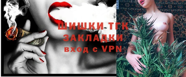 ГАЛЛЮЦИНОГЕННЫЕ ГРИБЫ Баксан
