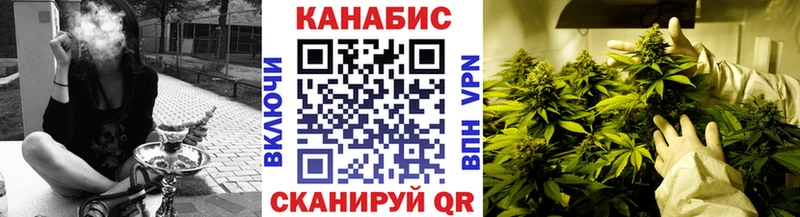 Бошки марихуана Amnesia  Коряжма 